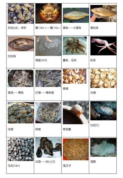 中国海鲜产地（海鲜大全500种）