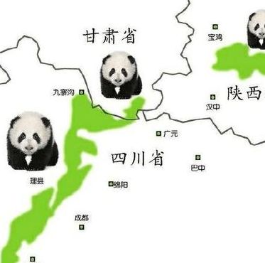 野生大熊猫分布（全国野生大熊猫分布）
