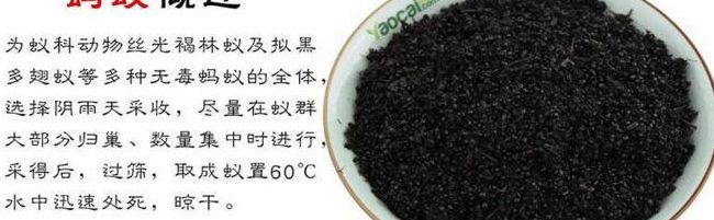 黑蚂蚁粉（黑蚂蚁粉的功效与作用及食用方法）