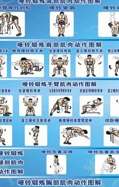肌肉锻炼（肌肉锻炼教程）