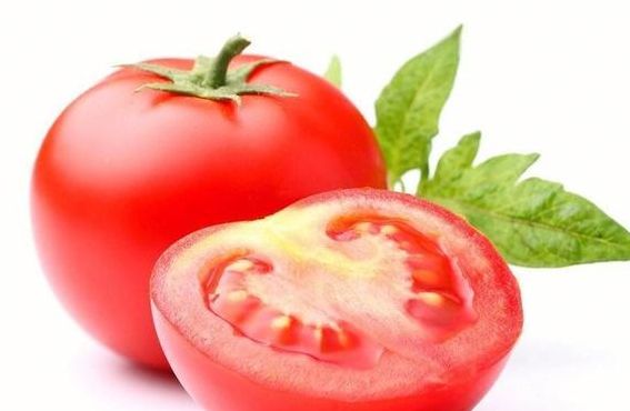 西红柿的资料（西红柿的资料和介绍）