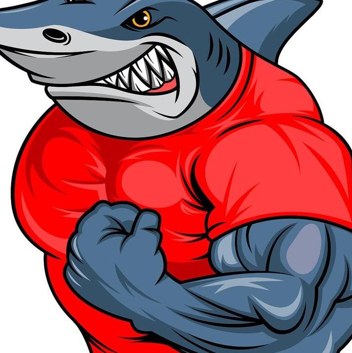 肌肉鲨鱼（肌肉鲨鱼头像）
