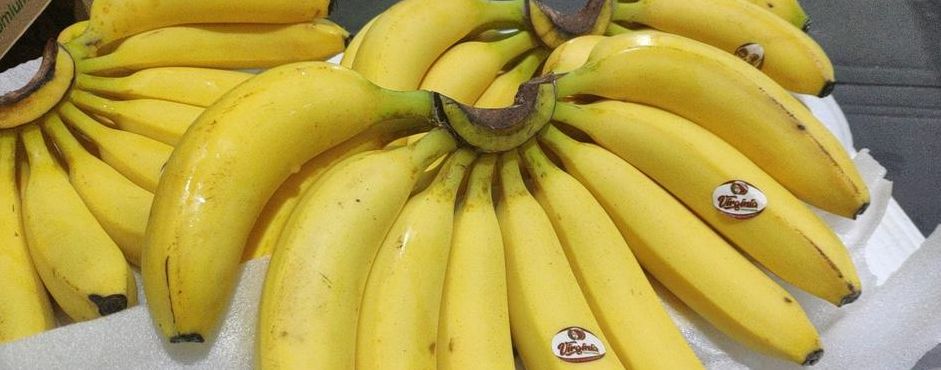 香蕉什么牌子的最好（香蕉什么牌子的最好吃文甜）