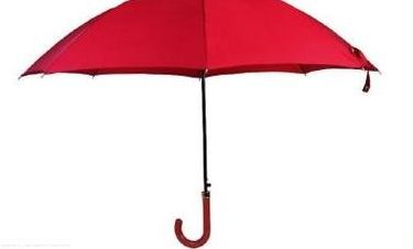 雨伞的英语（雨伞的英语读什么）