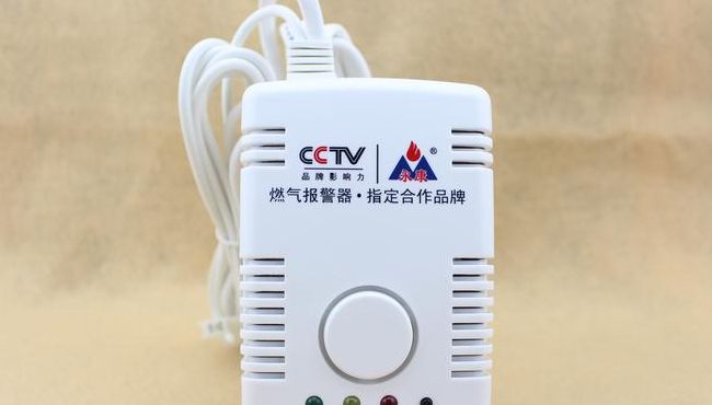 永康一氧化碳报警器(永康新款一氧化碳报警器，有效保护家庭安全)