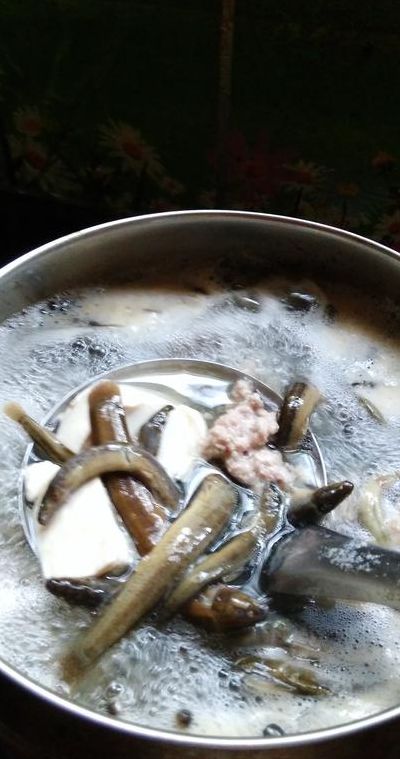 泥鳅汤的做法（泥鳅汤的做法和功效适合孩子喝）