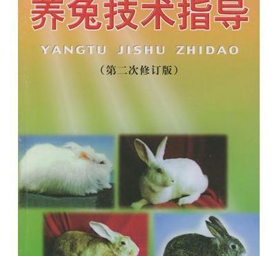 养兔技术（养兔技术大全书）
