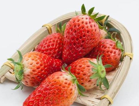 硪门平常吃的草莓蚂蚁庄园（硪门平常吃的草莓是沱的什么）