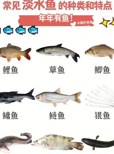 淡水鱼的种类（淡水鱼的种类有哪些图片和名称）