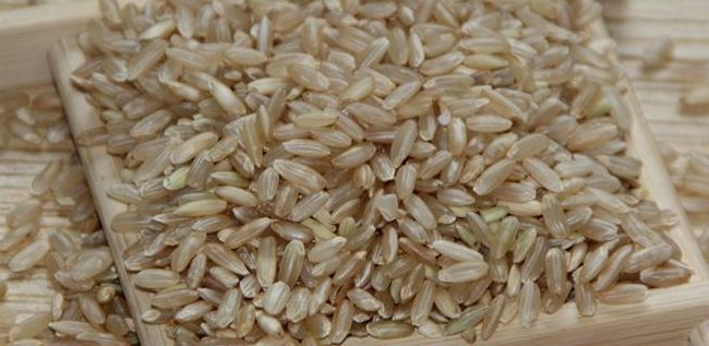 糙米是什么米（五常糙米是什么米）