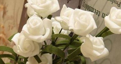 白玫瑰的花语（白玫瑰的花语是什么）