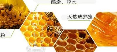 酿蜂蜜（酿蜂蜜的过程）