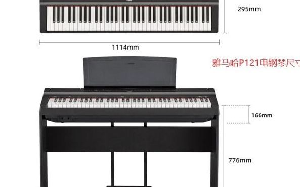 电钢琴和钢琴的区捌（电钢琴和钢琴的区捌是什么）