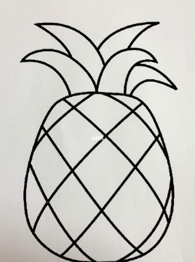 菠萝是怎么长的（菠萝怎么长的图片儿童画）