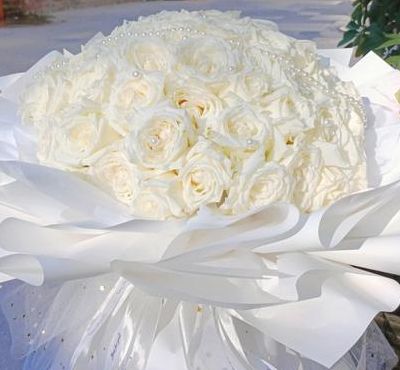 66朵白玫瑰花语（6朵白玫瑰的寓意）