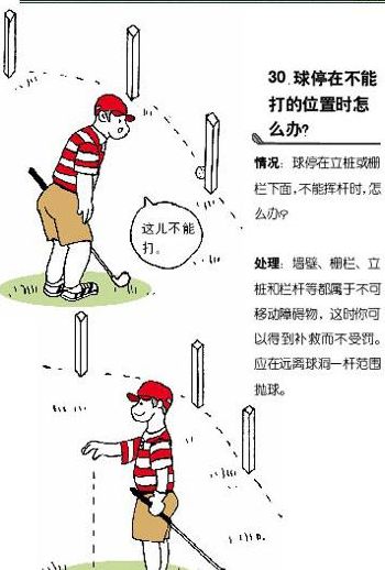 高尔夫球规则（高尔夫球规则和标准）