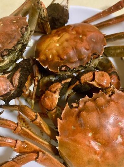 怎么吃螃蟹（怎么吃螃蟹正确吃法图解）