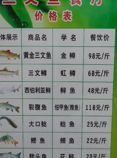 三文鱼的价格表（三文鱼的价格是多少）