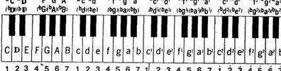 钢琴一共有多少个键（钢琴一共有多少个键多少个白键多少个黑键）