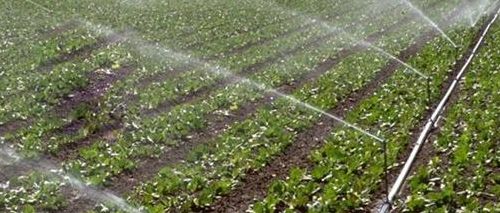 节水灌溉（节水灌溉类型有哪些）