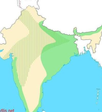 印度水稻（印度水稻和小麦分布区的主要地形）