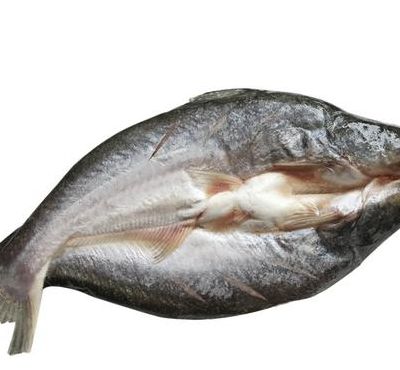 湄公鱼属于海鲜类吗（湄公鱼属于什么鱼）