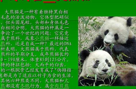 大熊猫只有中国才有吗（大熊猫只有中国有吗其他国家没有吗）